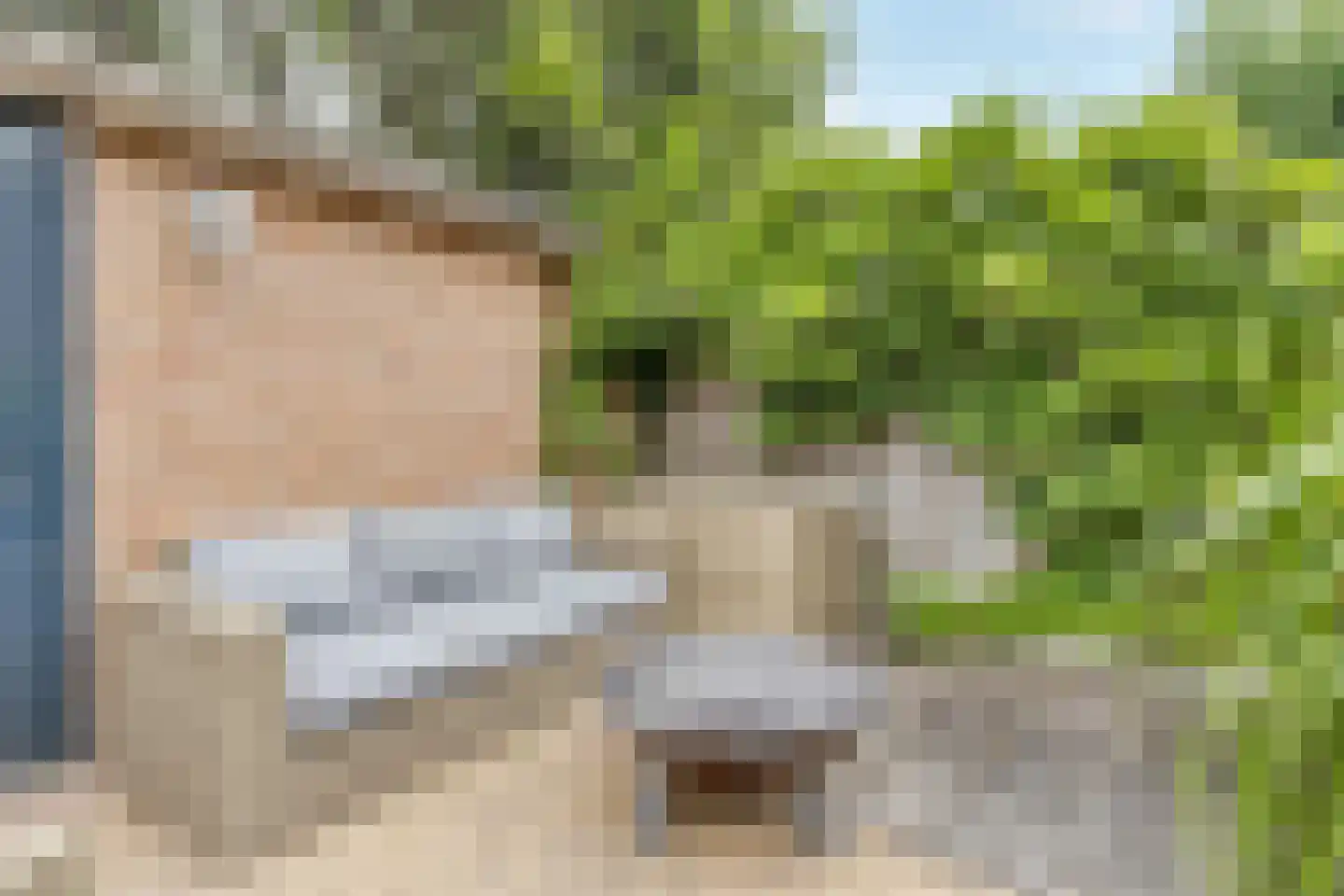 Heelkruid 4 Amersfoort thumbnail 32