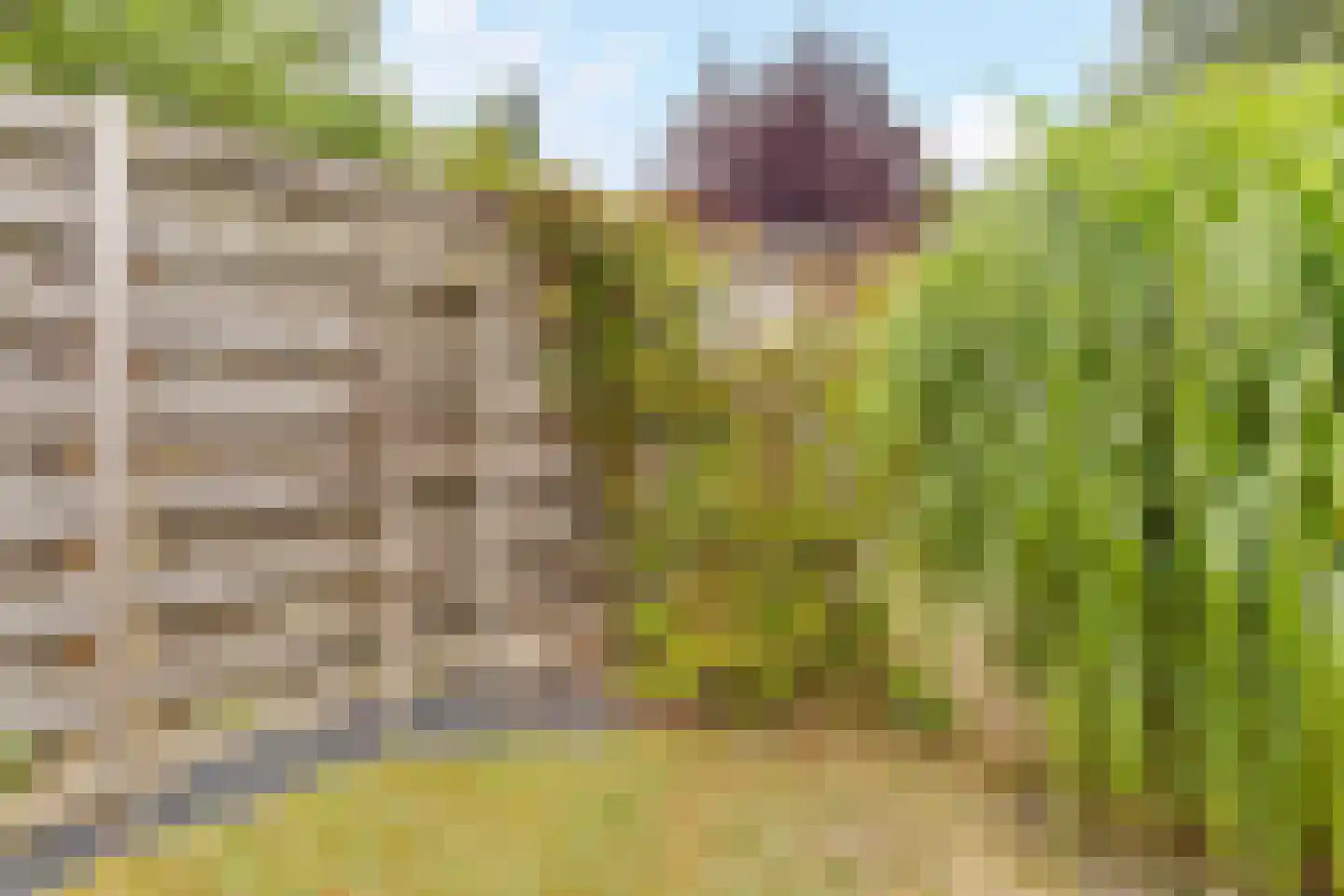 Heelkruid 4 Amersfoort thumbnail 34