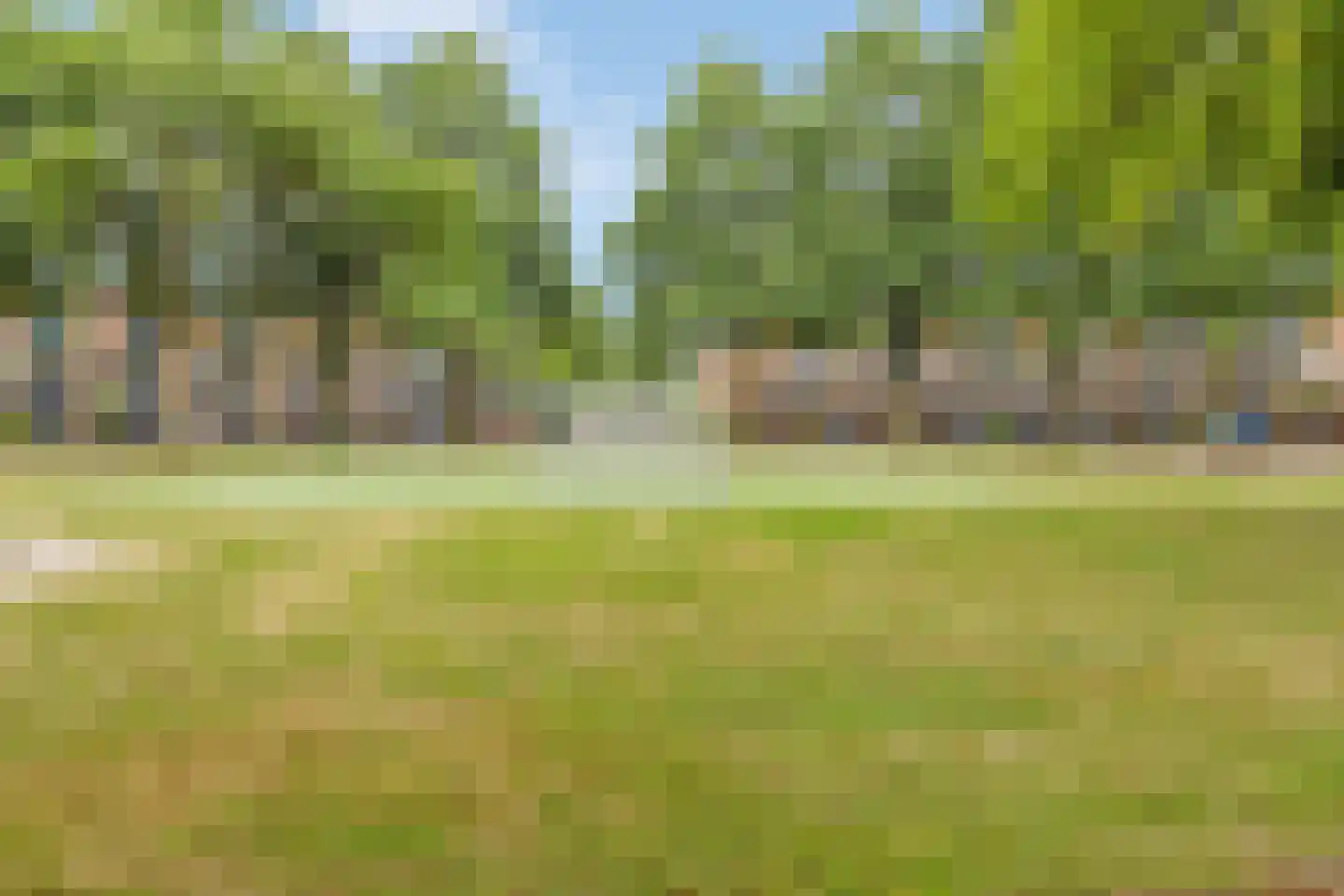 Heelkruid 4 Amersfoort thumbnail 37