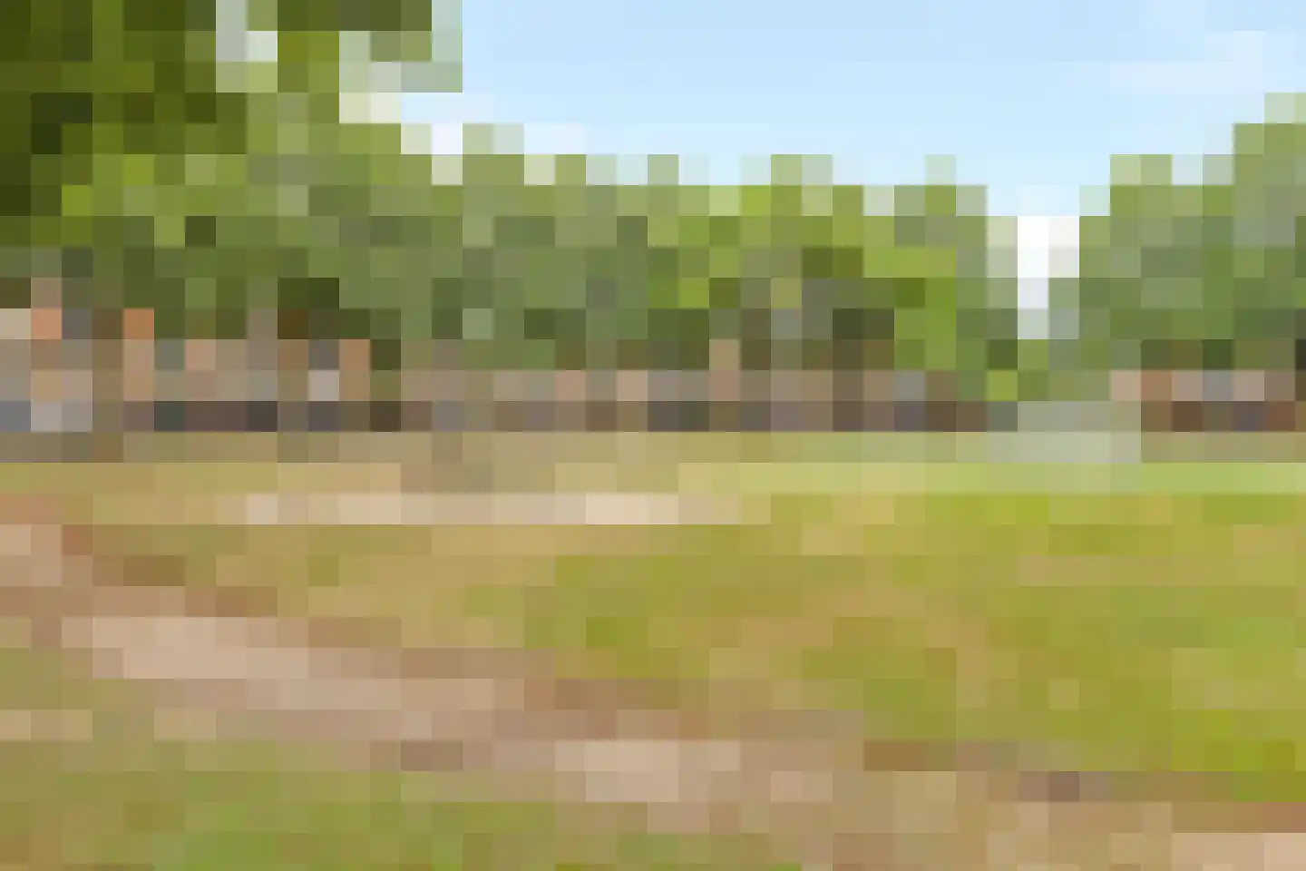 Heelkruid 4 Amersfoort thumbnail 38
