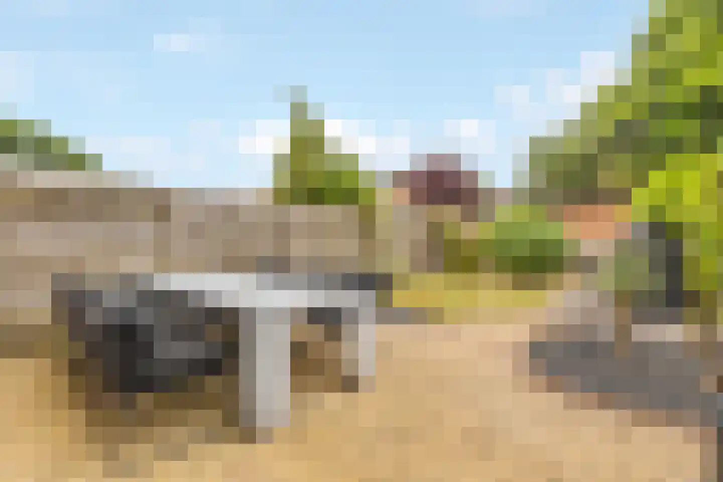 Heelkruid 4 Amersfoort thumbnail 4