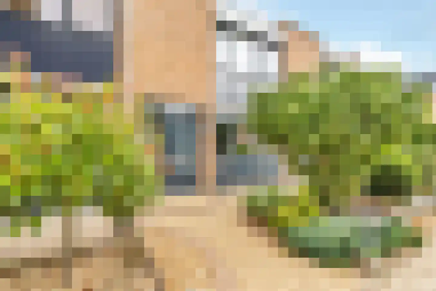 Heelkruid 4 Amersfoort thumbnail 6