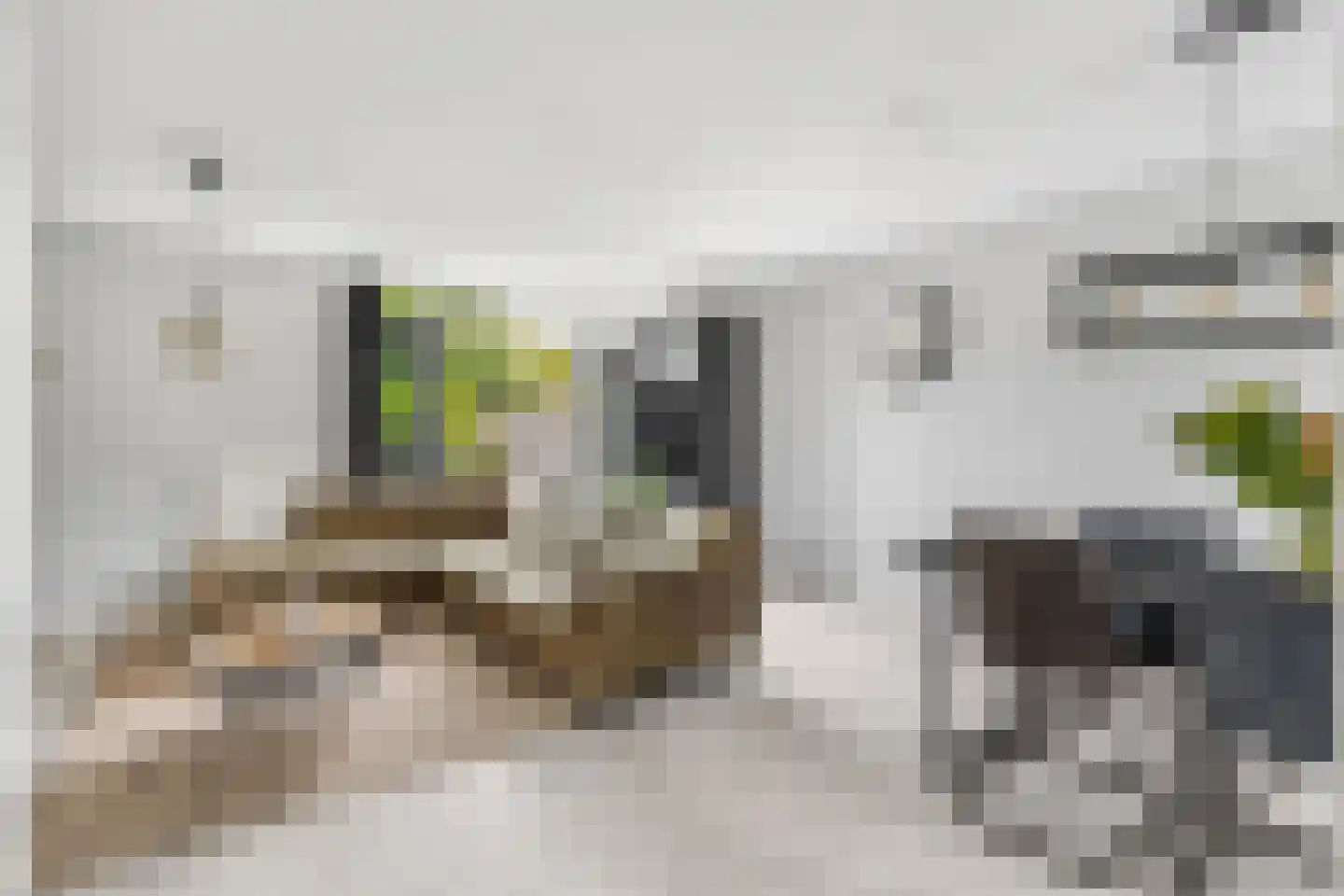 Heelkruid 4 Amersfoort thumbnail 9