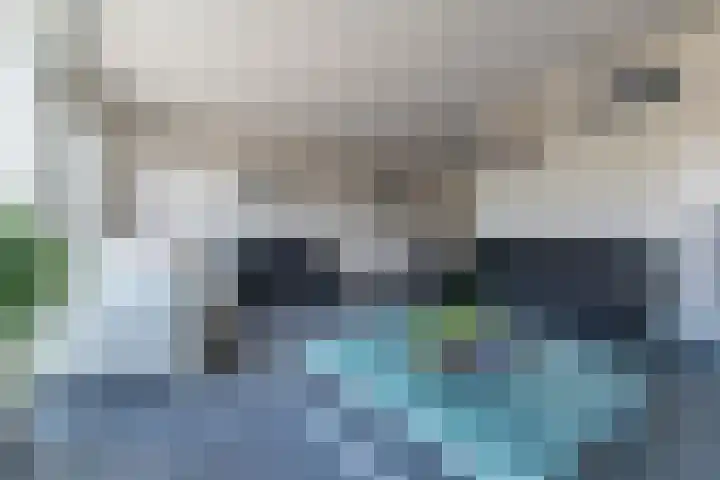 Heelkruid 4 Veenendaal thumbnail 10