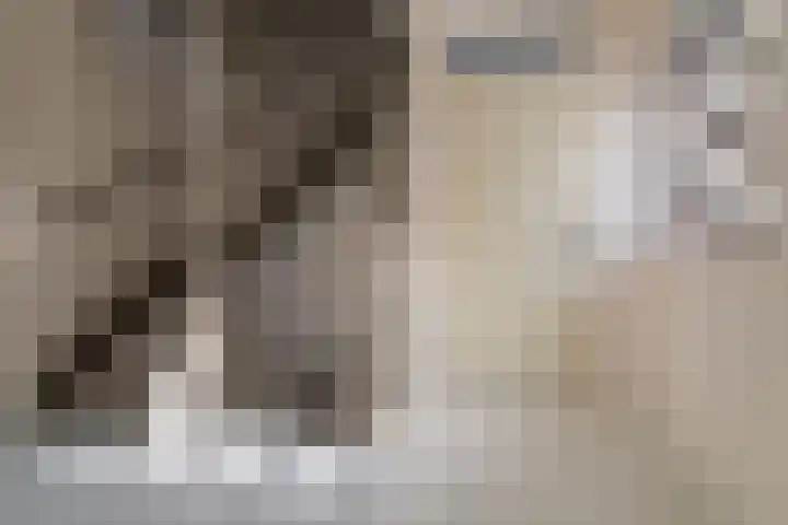 Heelkruid 4 Veenendaal thumbnail 16