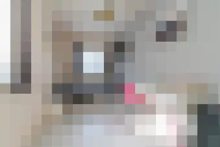 Heelkruid 4 Veenendaal thumbnail 22