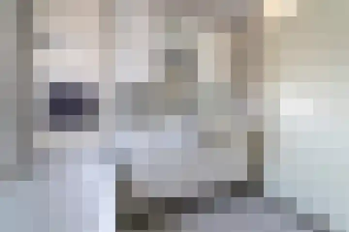 Heelkruid 4 Veenendaal thumbnail 25