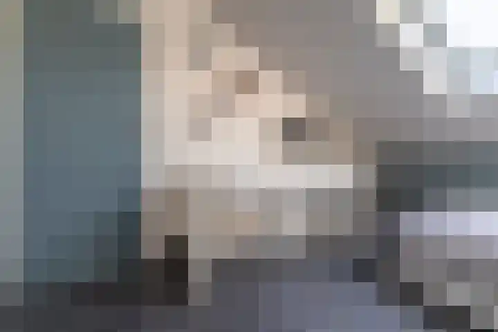 Heelkruid 4 Veenendaal thumbnail 31