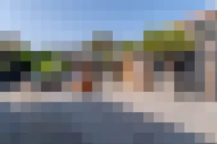 Heelkruid 4 Veenendaal thumbnail 33