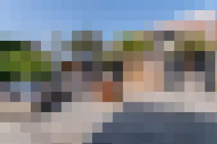 Heelkruid 4 Veenendaal thumbnail 35