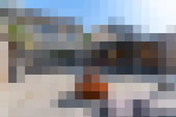 Heelkruid 4 Veenendaal thumbnail 37