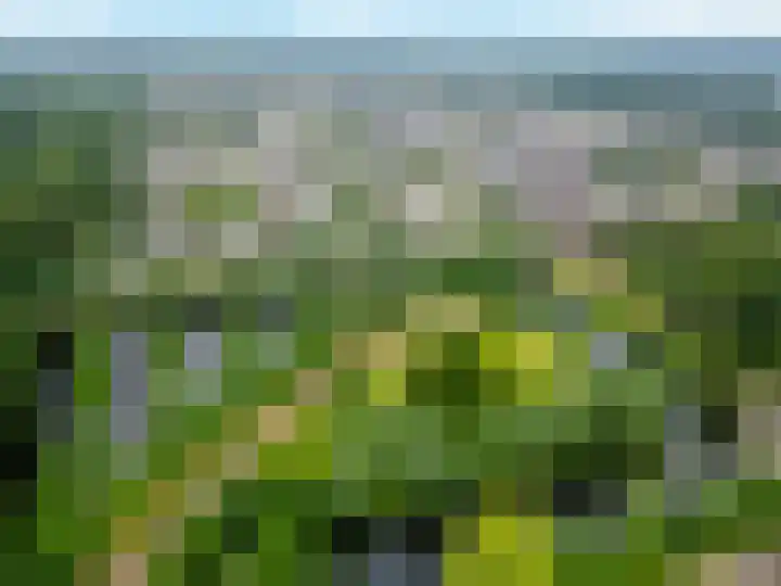 Heelkruid 4 Veenendaal thumbnail 4