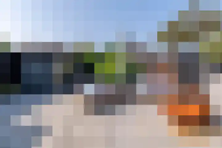 Heelkruid 4 Veenendaal thumbnail 40