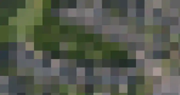 Heelkruid 4 Veenendaal thumbnail 42