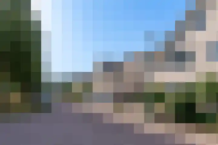 Heelkruid 4 Veenendaal thumbnail 5