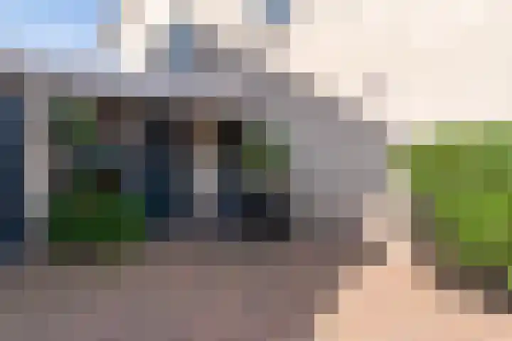 Heelkruid 4 Veenendaal thumbnail 6