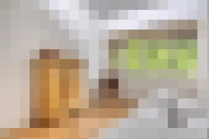 Heelkruid 46 Amersfoort thumbnail 12