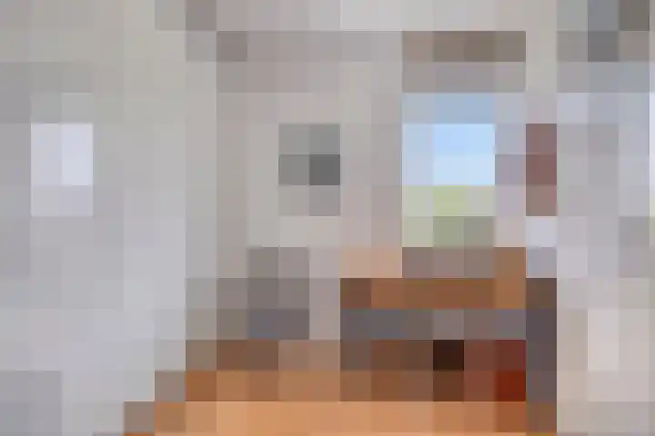 Heelkruid 46 Amersfoort thumbnail 13
