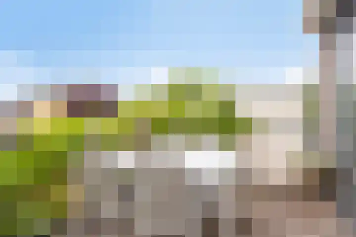 Heelkruid 46 Amersfoort thumbnail 16
