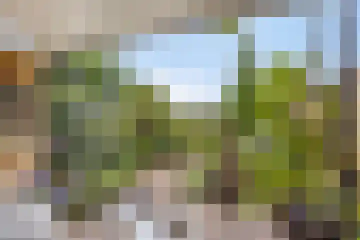 Heelkruid 46 Amersfoort thumbnail 18