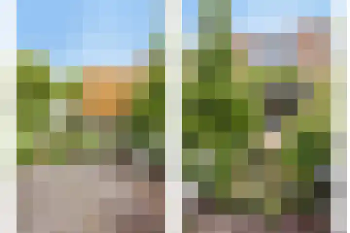 Heelkruid 46 Amersfoort thumbnail 24