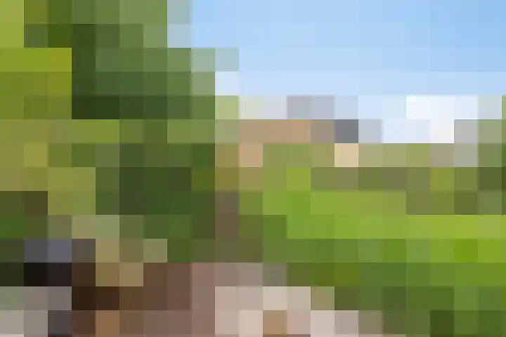 Heelkruid 46 Amersfoort thumbnail 25