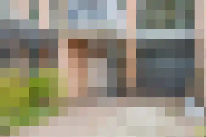 Heelkruid 46 Amersfoort thumbnail 27