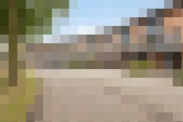 Heelkruid 46 Amersfoort thumbnail 28