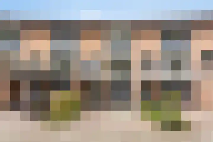 Heelkruid 46 Amersfoort thumbnail 29