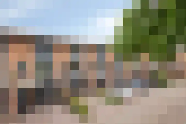 Heelkruid 46 Amersfoort thumbnail 30