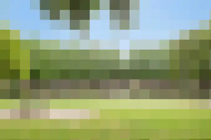 Heelkruid 46 Amersfoort thumbnail 31