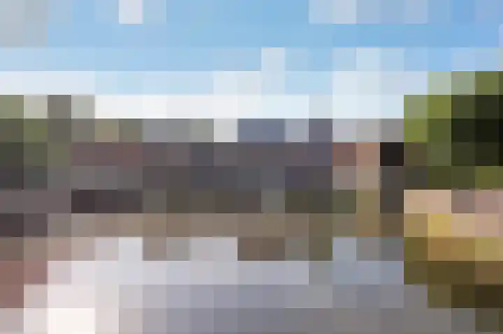 Heelkruid 46 Amersfoort thumbnail 33