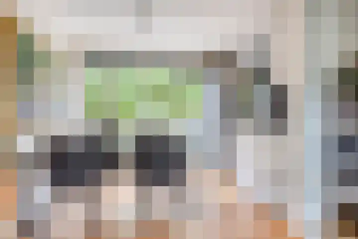 Heelkruid 46 Amersfoort thumbnail 7