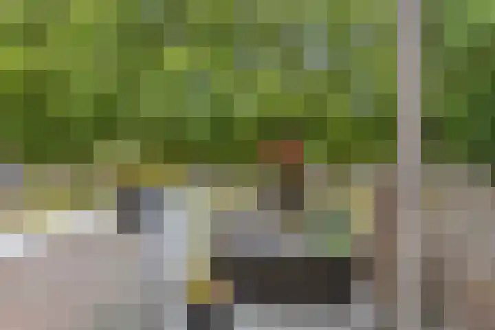 Heelkruid 46 Amersfoort thumbnail 8