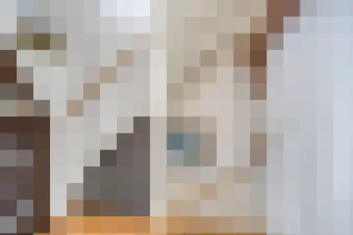 Heelkruid 46 Amersfoort thumbnail 9