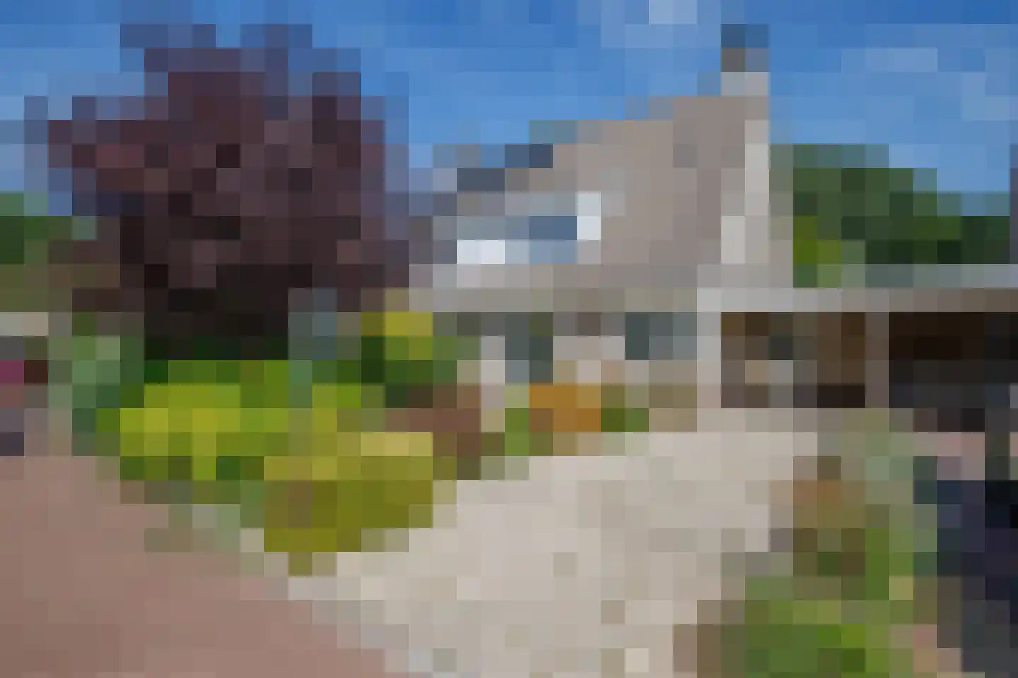 Heelkruid 6 in Nieuwerkerk aan den IJssel