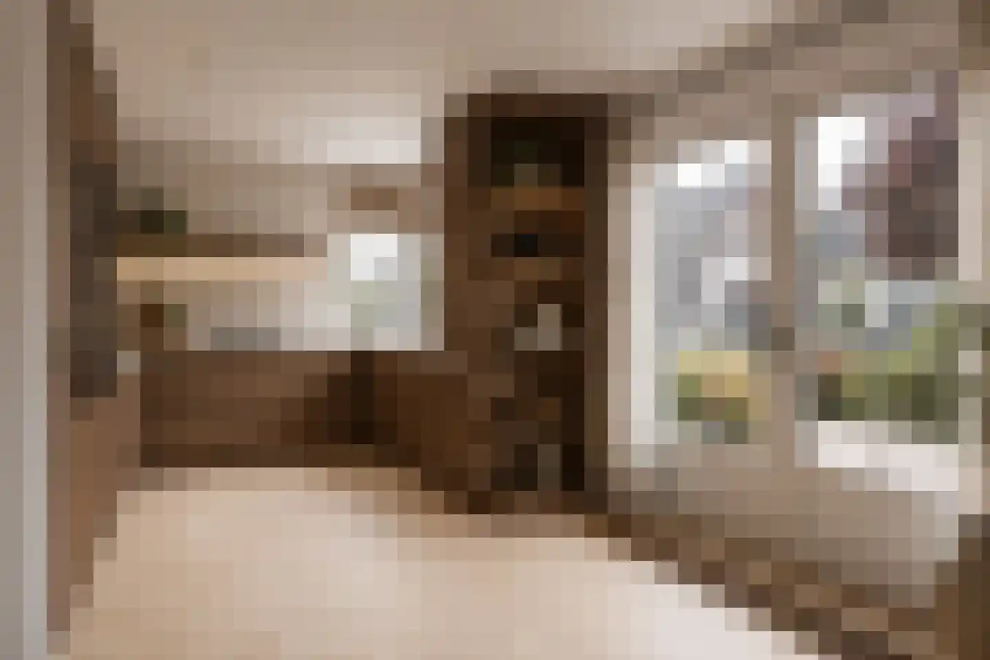 Heelkruid 6 Nieuwerkerk aan den IJssel thumbnail 13
