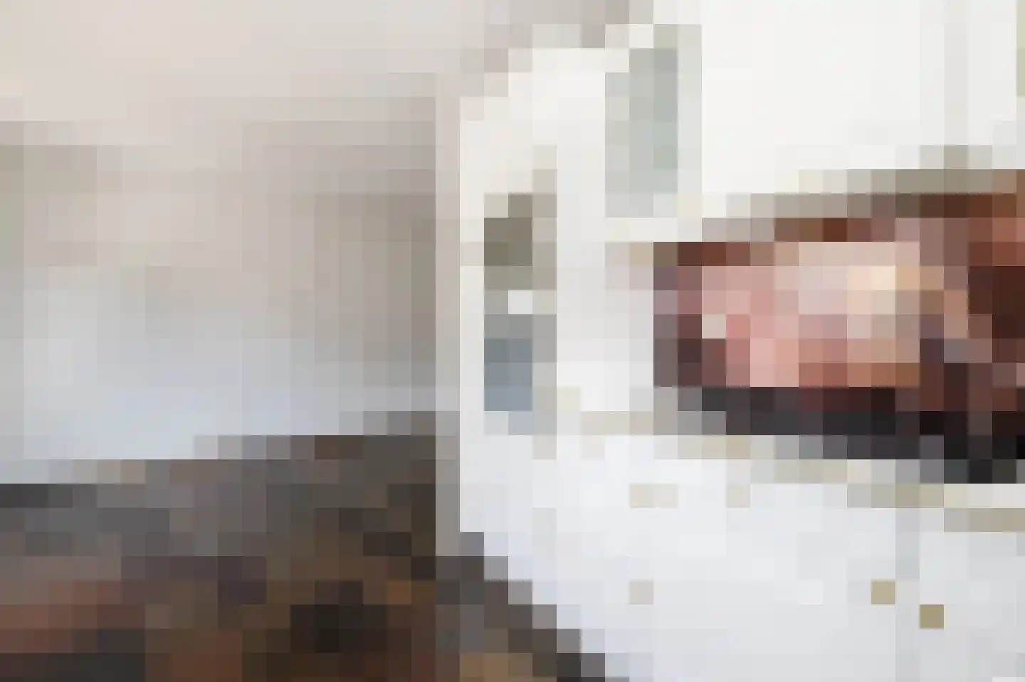 Heelkruid 6 Nieuwerkerk aan den IJssel thumbnail 16