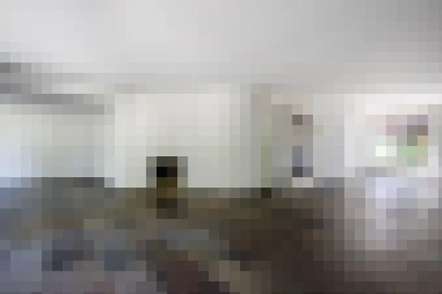 Heelkruid 6 Nieuwerkerk aan den IJssel thumbnail 17