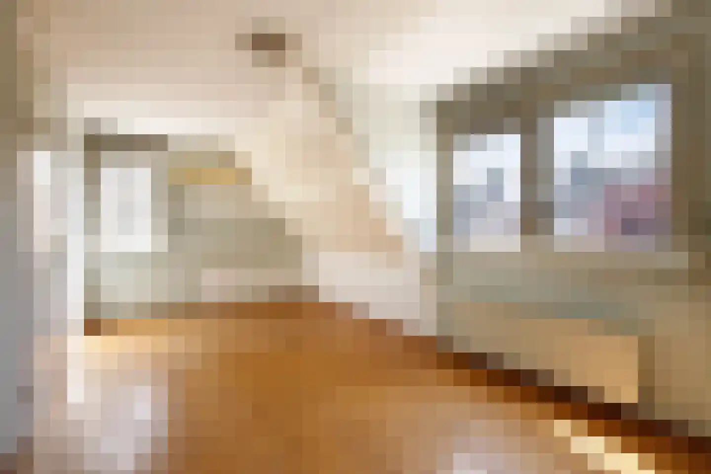 Heelkruid 6 Nieuwerkerk aan den IJssel thumbnail 23