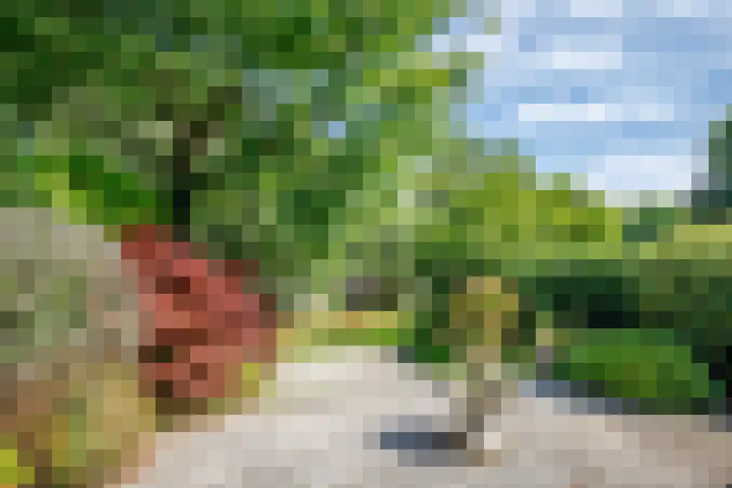 Heelkruid 6 Nieuwerkerk aan den IJssel thumbnail 36