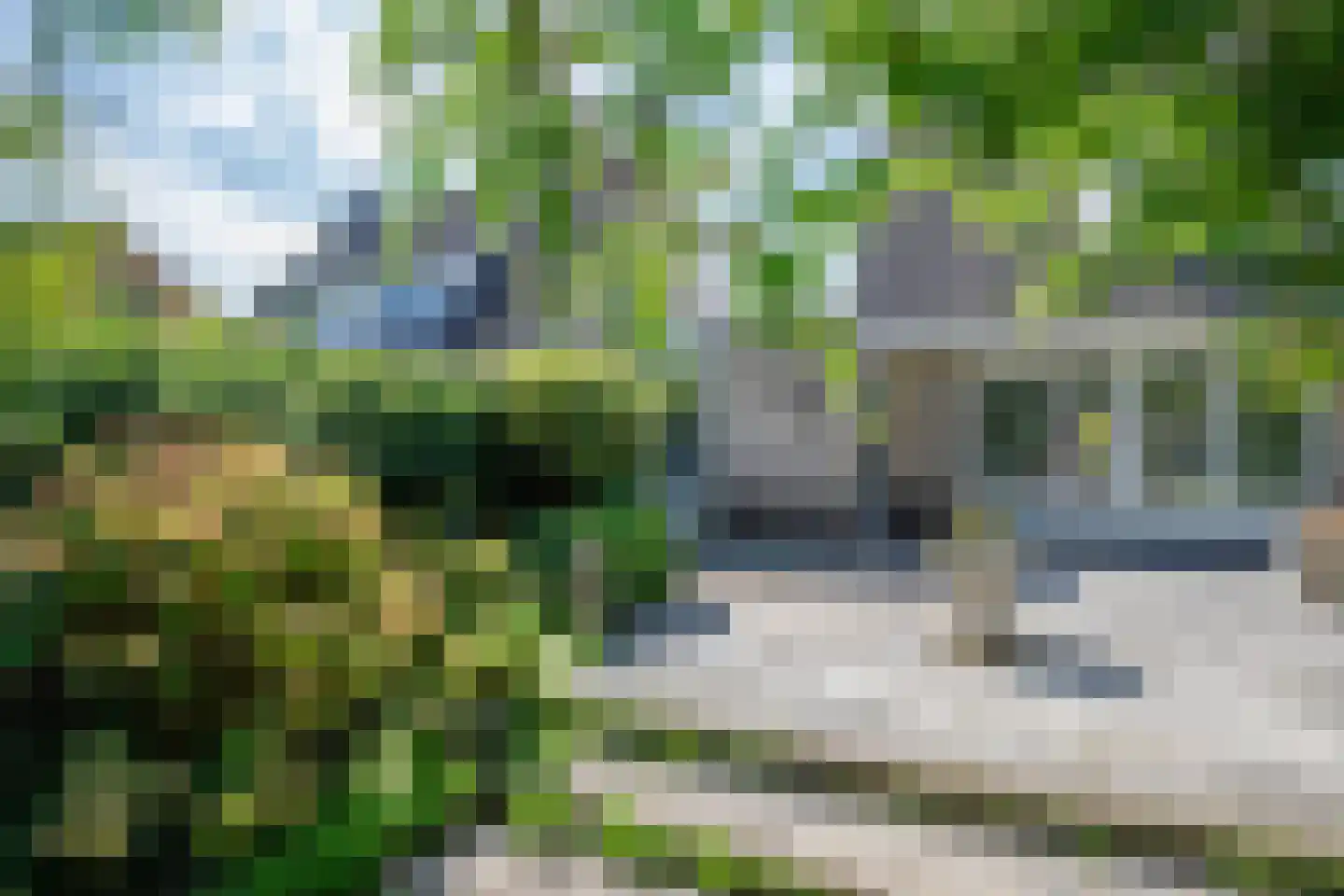 Heelkruid 6 Nieuwerkerk aan den IJssel thumbnail 38