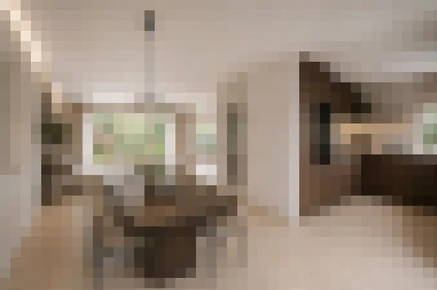 Heelkruid 6 Nieuwerkerk aan den IJssel thumbnail 4