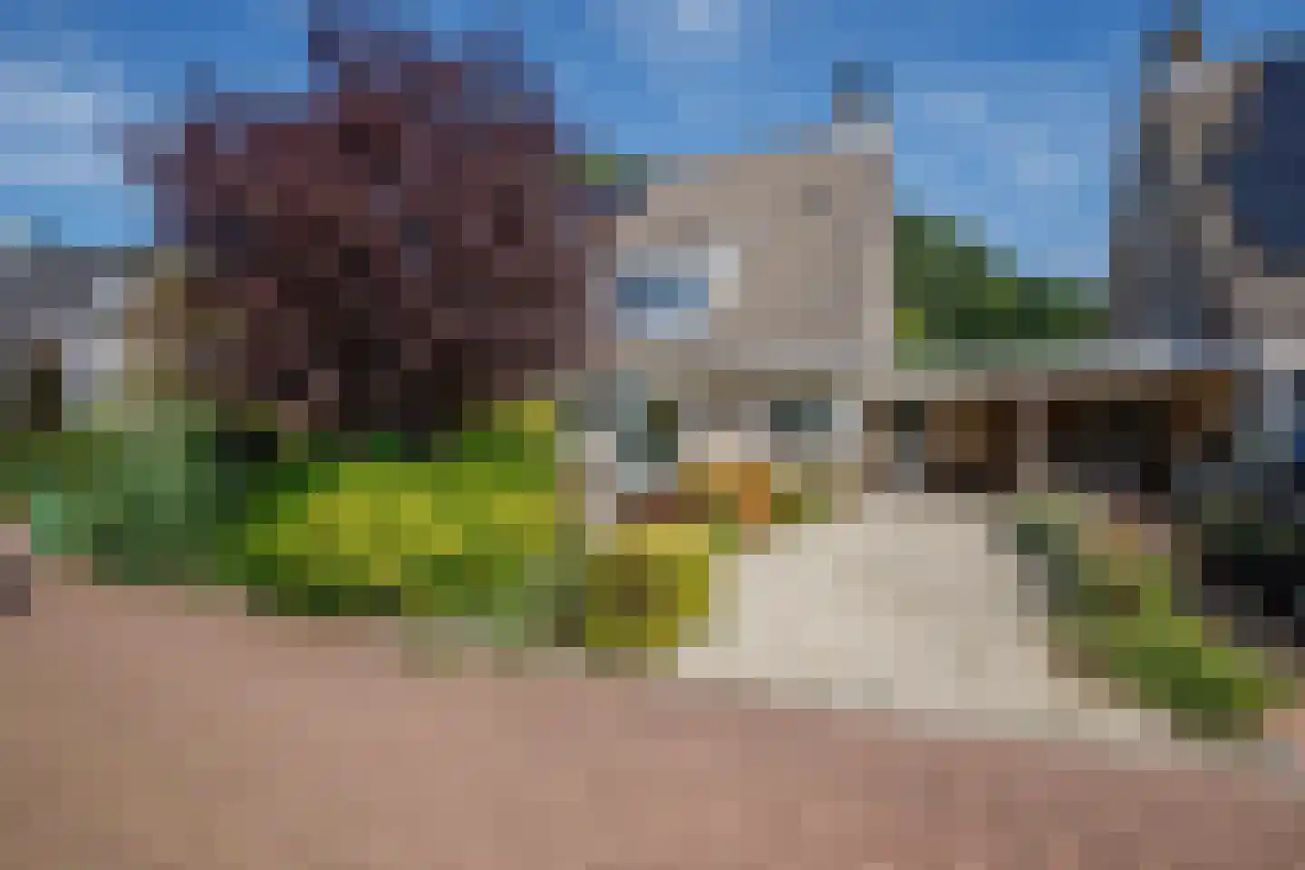 Heelkruid 6 Nieuwerkerk aan den IJssel thumbnail 43
