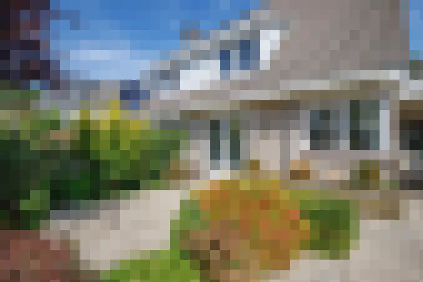 Heelkruid 6 Nieuwerkerk aan den IJssel thumbnail 44