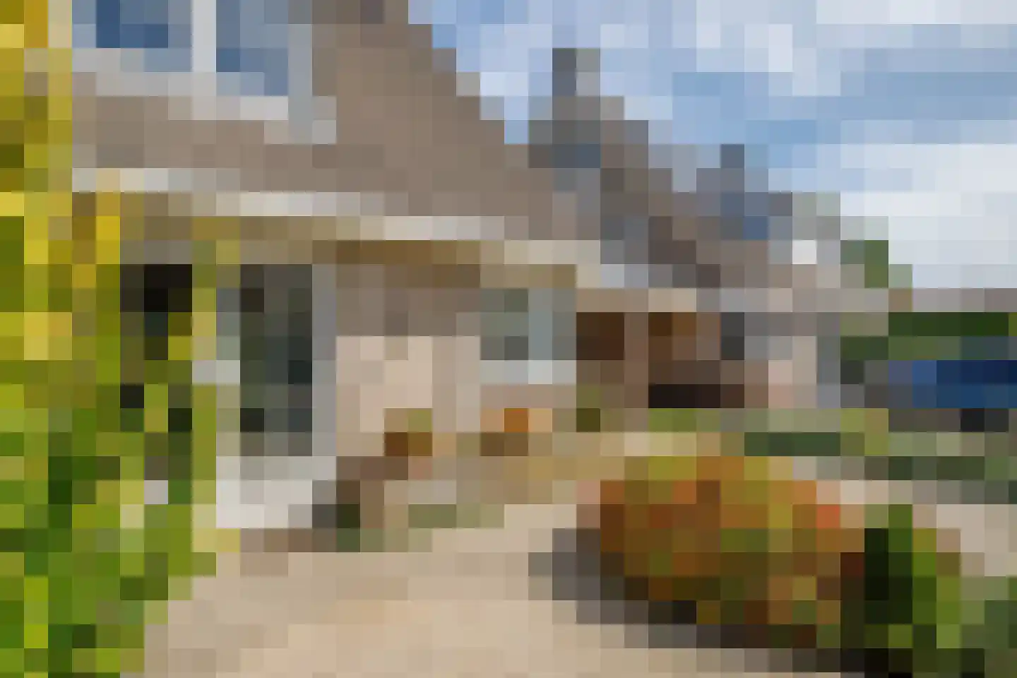 Heelkruid 6 Nieuwerkerk aan den IJssel thumbnail 45