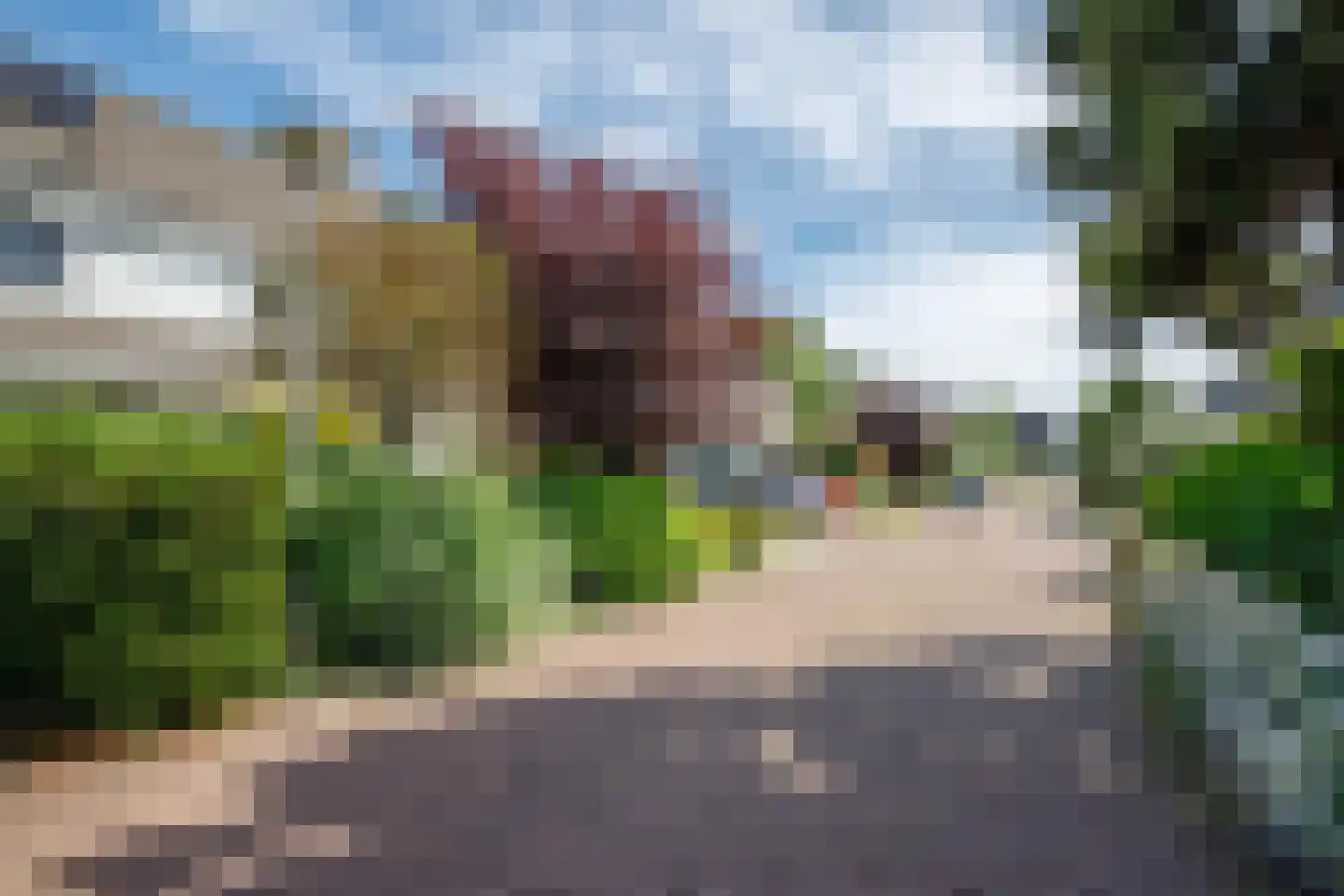 Heelkruid 6 Nieuwerkerk aan den IJssel thumbnail 46