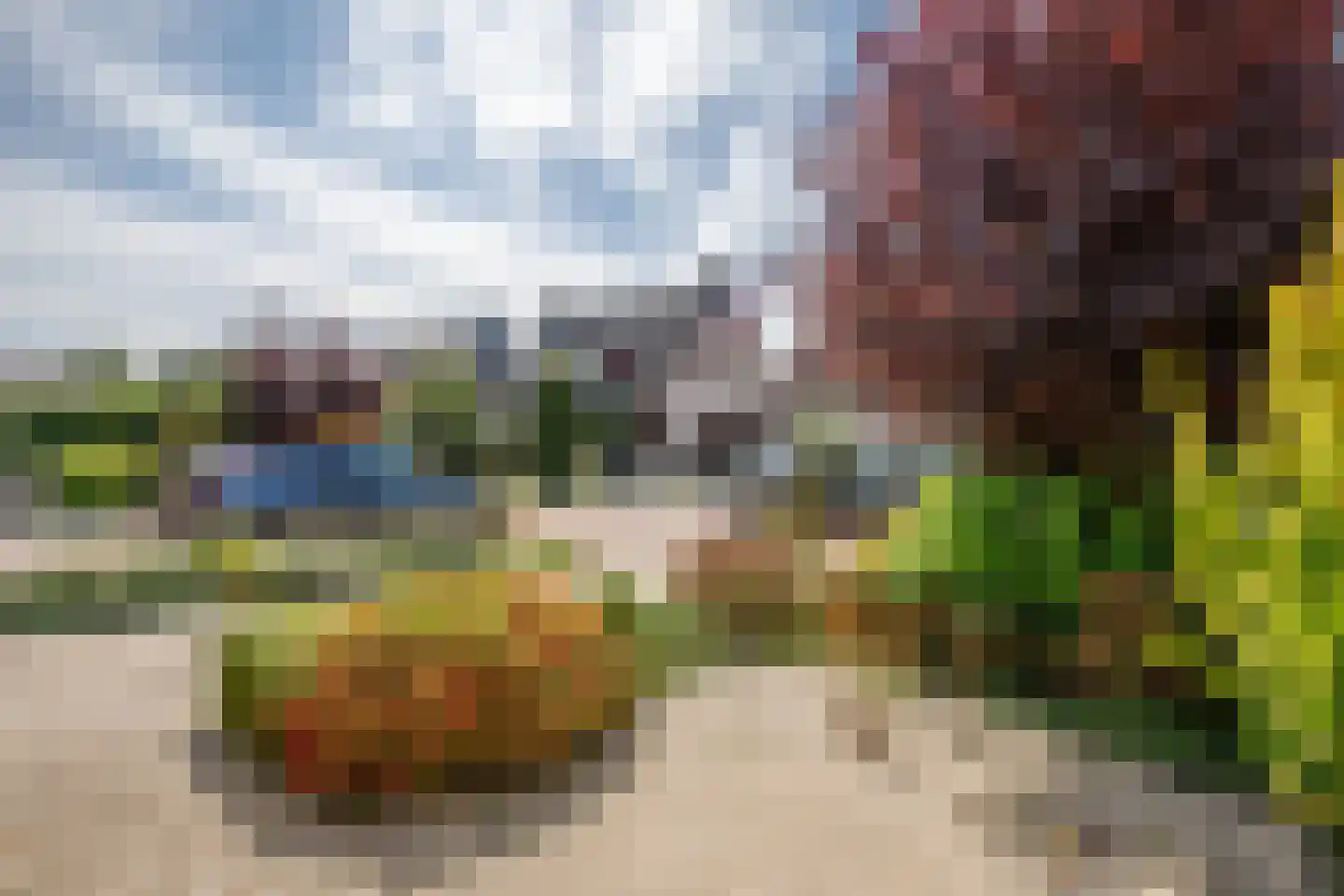 Heelkruid 6 Nieuwerkerk aan den IJssel thumbnail 48