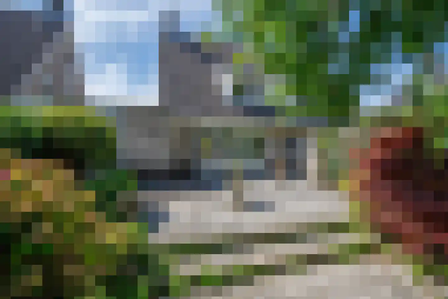 Heelkruid 6 Nieuwerkerk aan den IJssel thumbnail 5