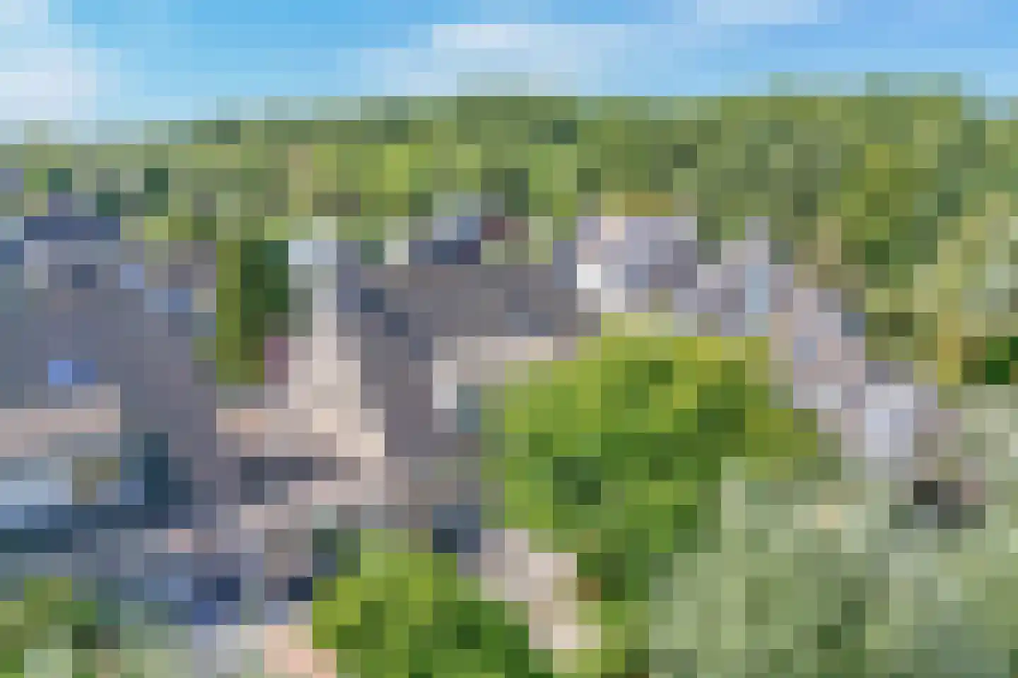 Heelkruid 6 Nieuwerkerk aan den IJssel thumbnail 50